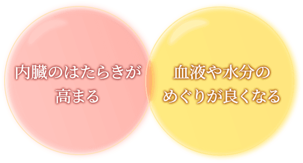内臓のはたらきが高まり、血液や水分のめぐりが良くなる図