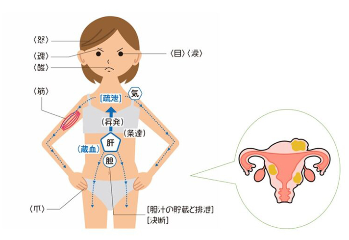 画像に alt 属性が指定されていません。ファイル名: PMS7.jpg